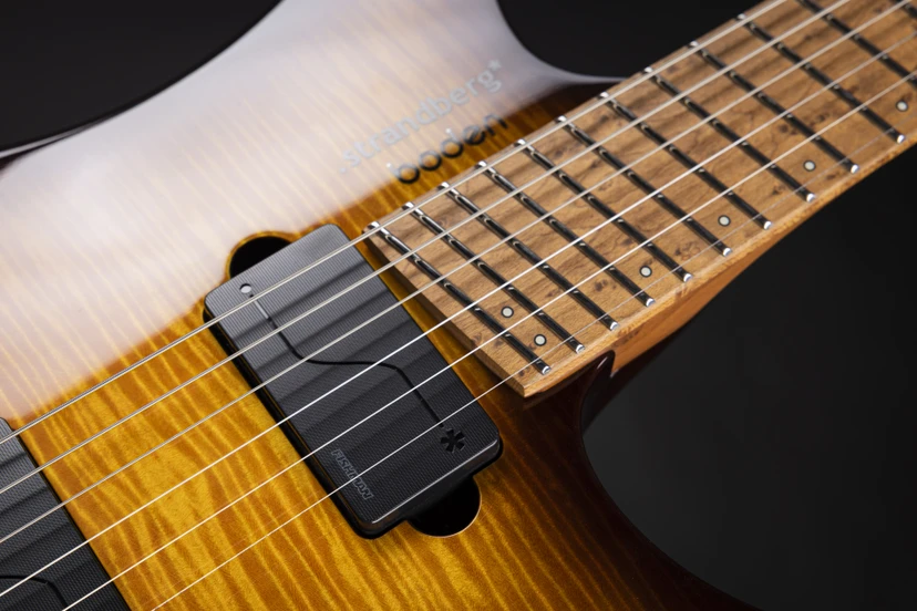 .strandberg* POWR:D BY FISHMAN ピックアップ